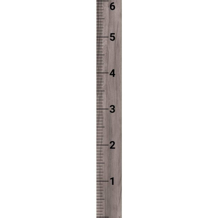 Gray Growth Chart Ruler Wood Sign