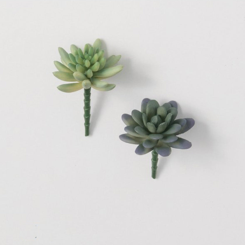 Add a succulent to your next project! This plant is known for its versatile properties and makes a great houseplant. Our faux version makes it a simple, easy-to-care-for decoration.  
5"L x2.75"W x2.75"