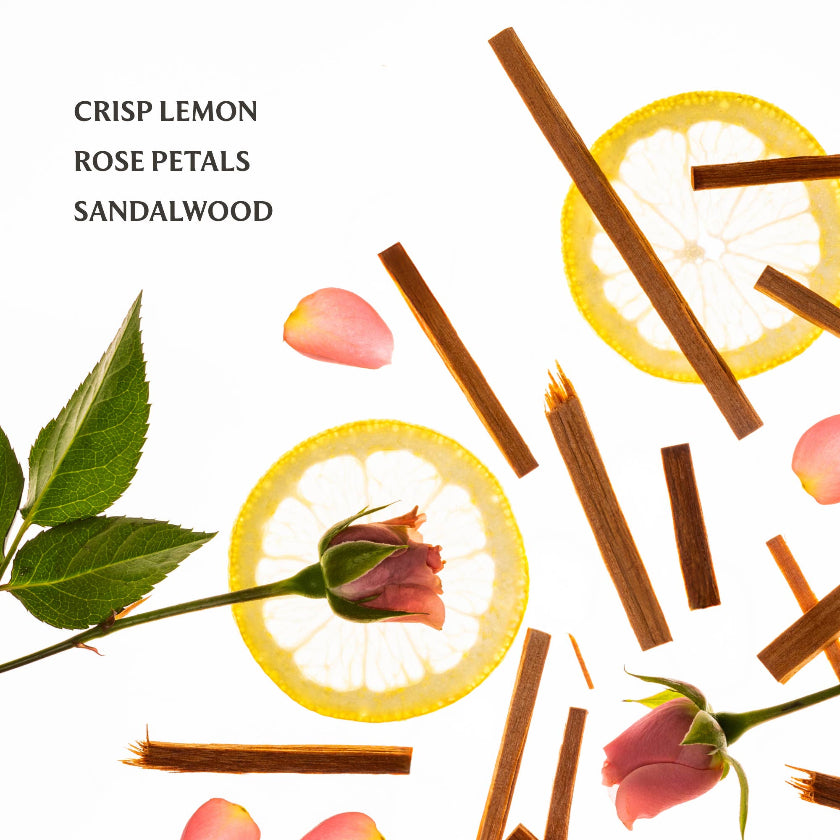 Spices and herbs with lemon slices, rose petals, and sandalwood on a white background