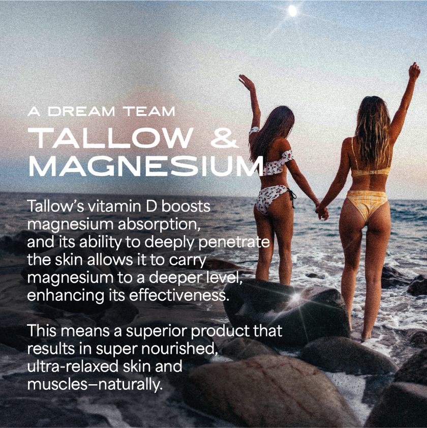 Magnesium Cream Tallow | For Sleep, Sore Muscles + Balance | Darlin' Skincare