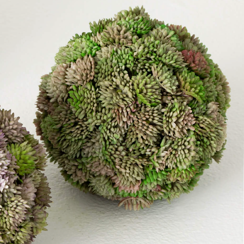 COLORFUL SEDUM ORB - Pink