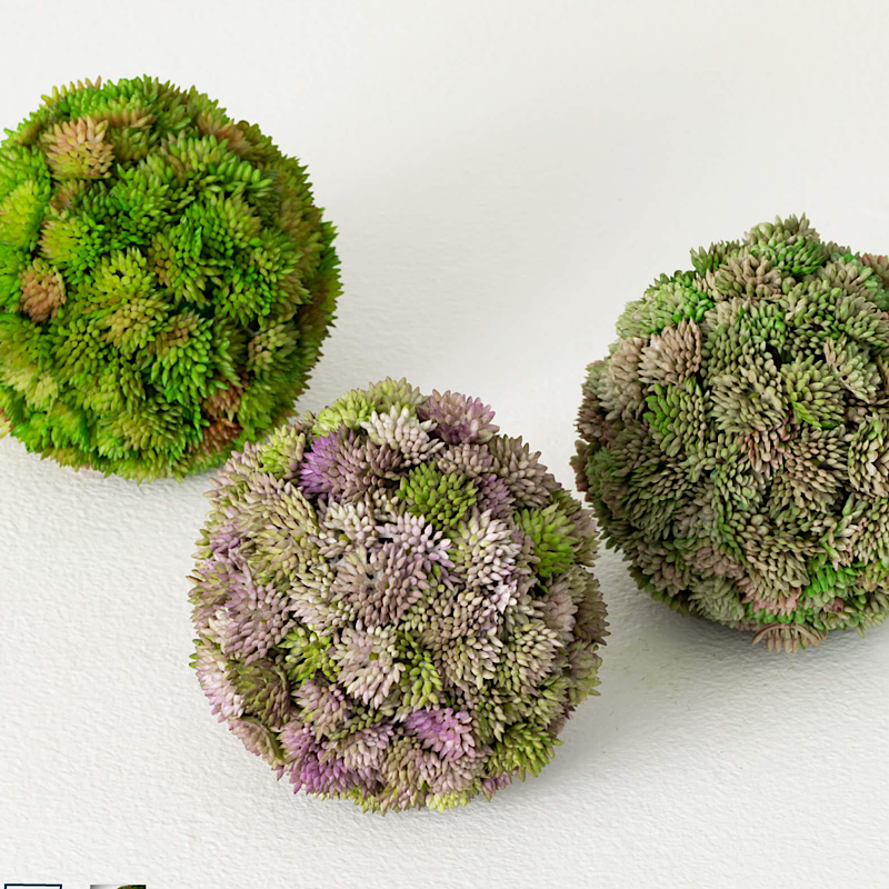 COLORFUL SEDUM ORB - Pink