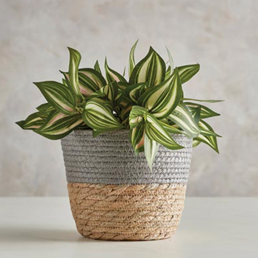 Grey Top Lined Basket | Faithworks