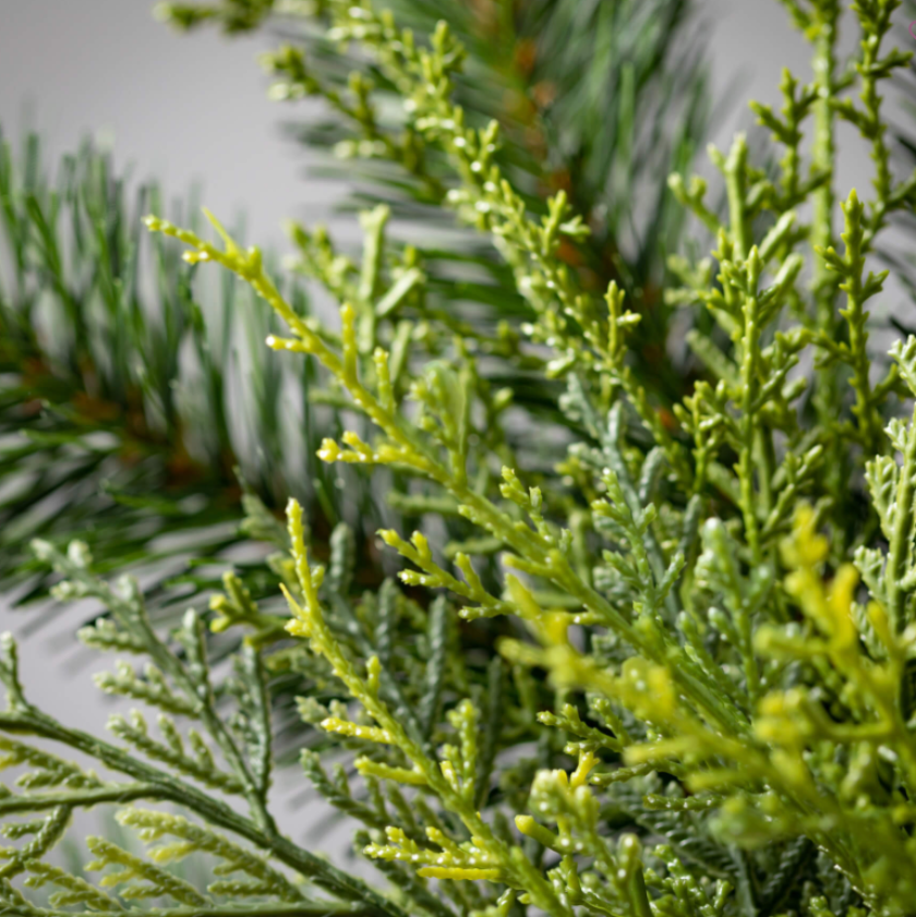 LUSH GREEN CEDAR SPRAY