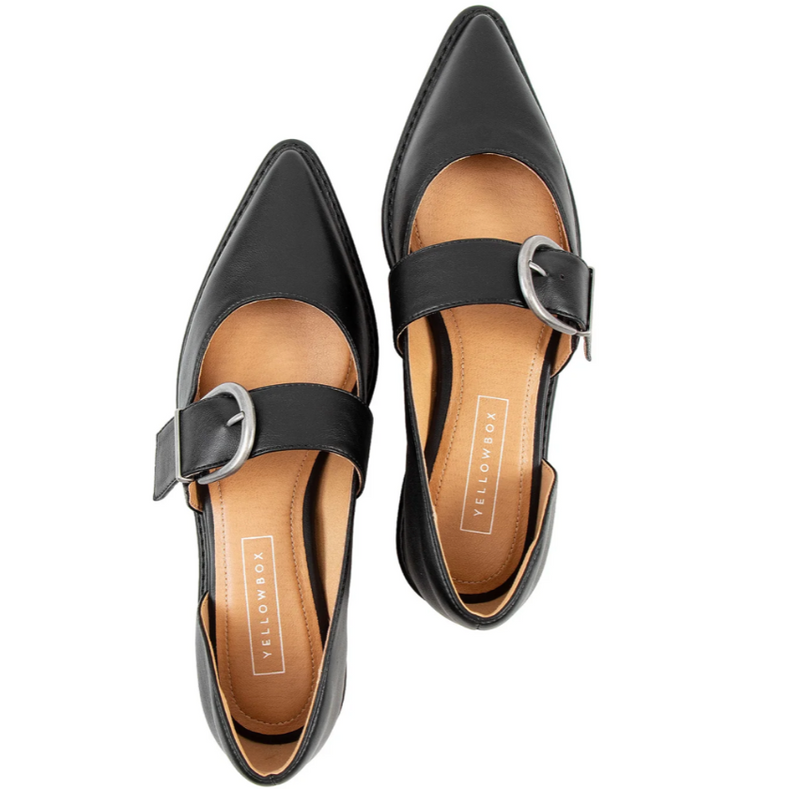 Black pointed-toe shoes with buckles on a white background