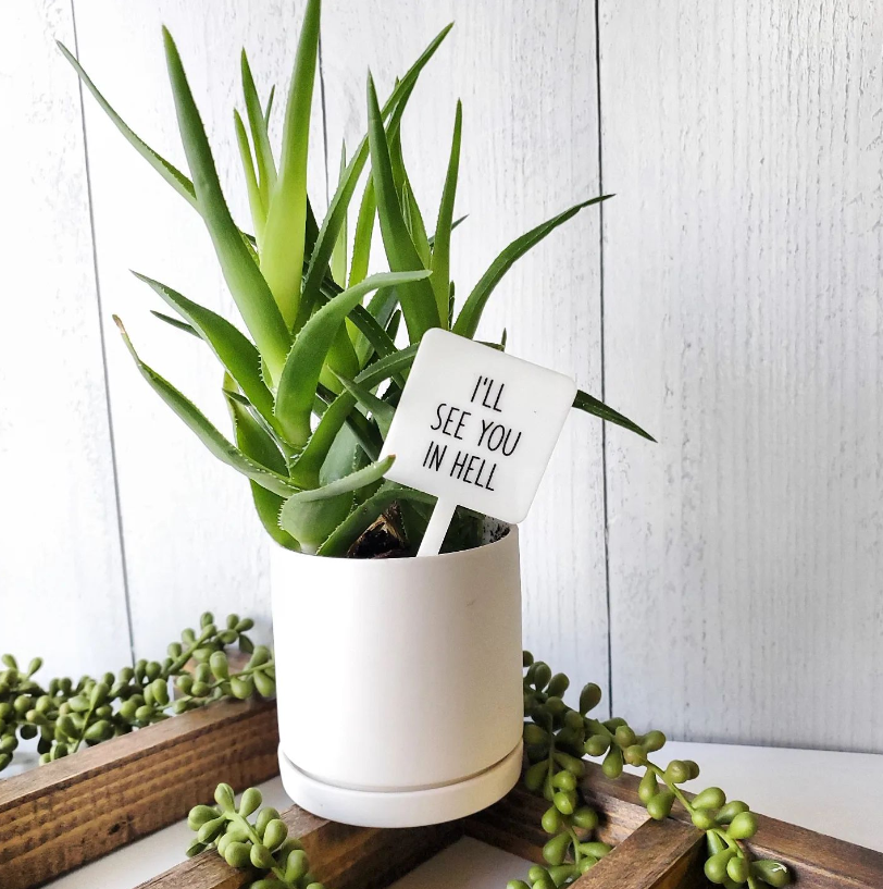 Snarky Plant Marker Stake - I'll see you in Hell - Mad River