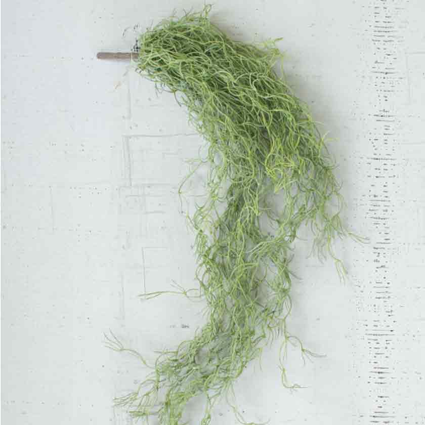 ARTIFICIAL GREEN MOSS - KALALOU