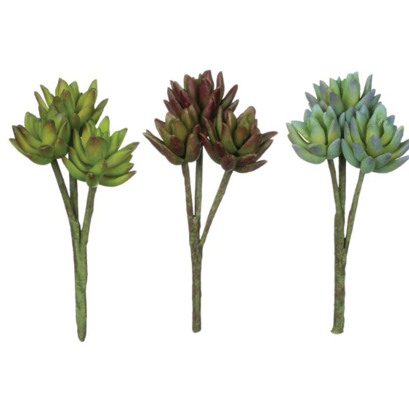 Complement a centerpiece, beautify a bridal bouquet, or complete a container garden with this versatile agave stem. The levels of green offer a full, robust presence and combined with the traits of the typical succulent, these stems are a stunning way to take a design from hearty to simply heart-warming.  Dimensions:
5"L x3.25"W x8"