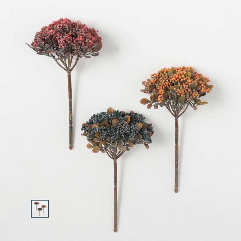 BLUE BERRY PICK - SULLIVANS