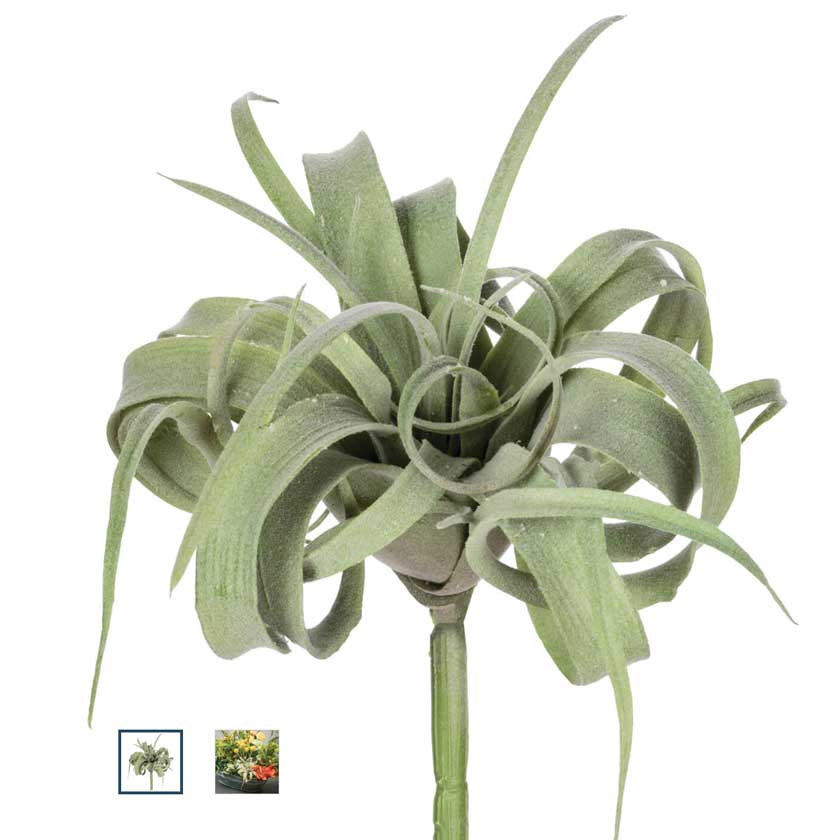 GREEN AIR PLANT - SULLIVANS