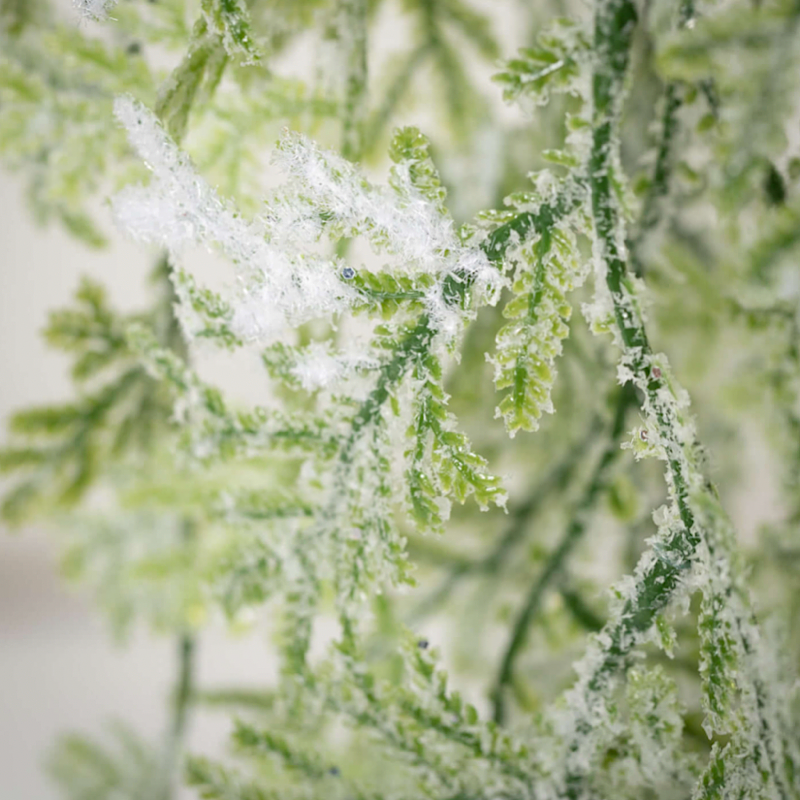 FROSTED FERN HANGING SWAG