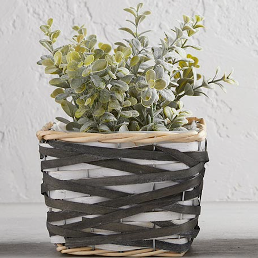 Medium Square Dual Color Basket - CB