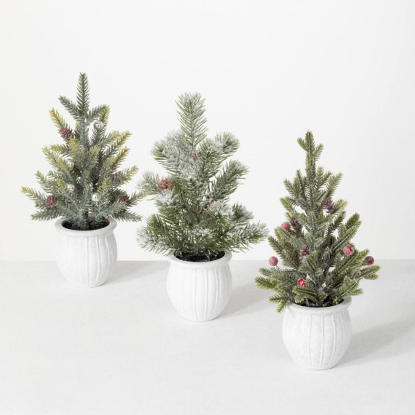 This is a little tree that guarantees a big buzz. From its beautifully realistic branches to its decorative base, this tree is a must for holiday home decor.  Dimensions:
5"L x5"W x12"   Material:Plastic