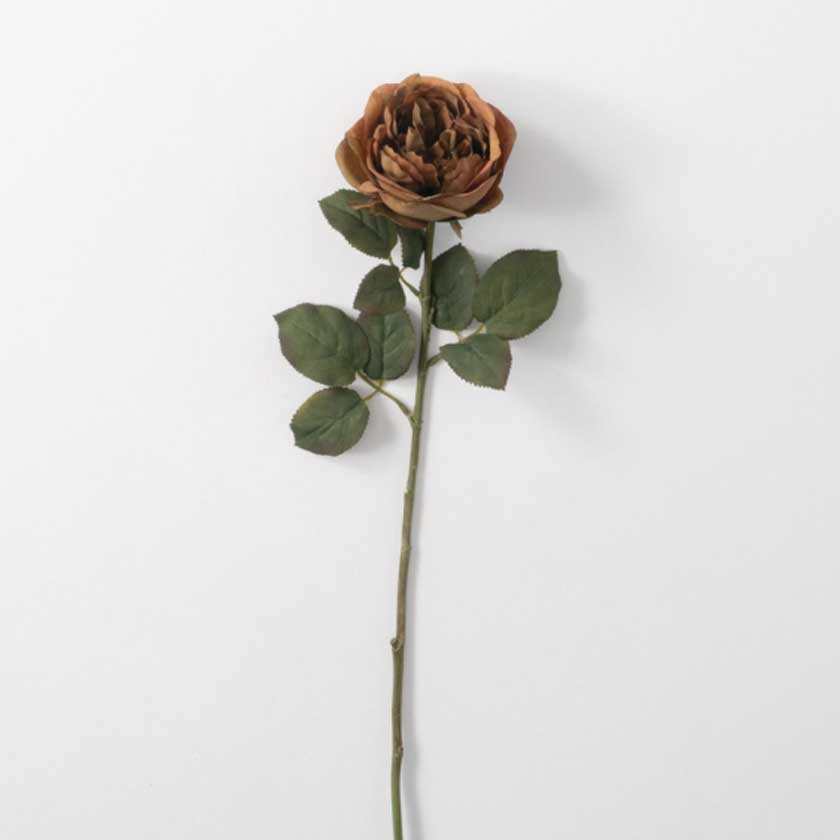 RUST GARDEN ROSE STEM - SULLIVANS