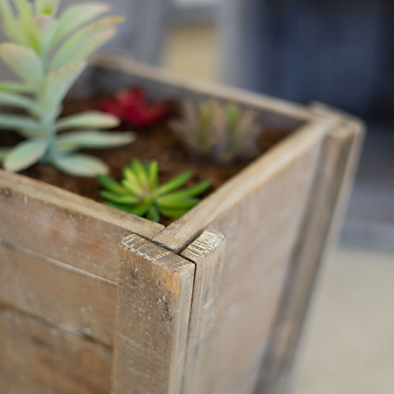 Natural Square Recycled Wood Planter