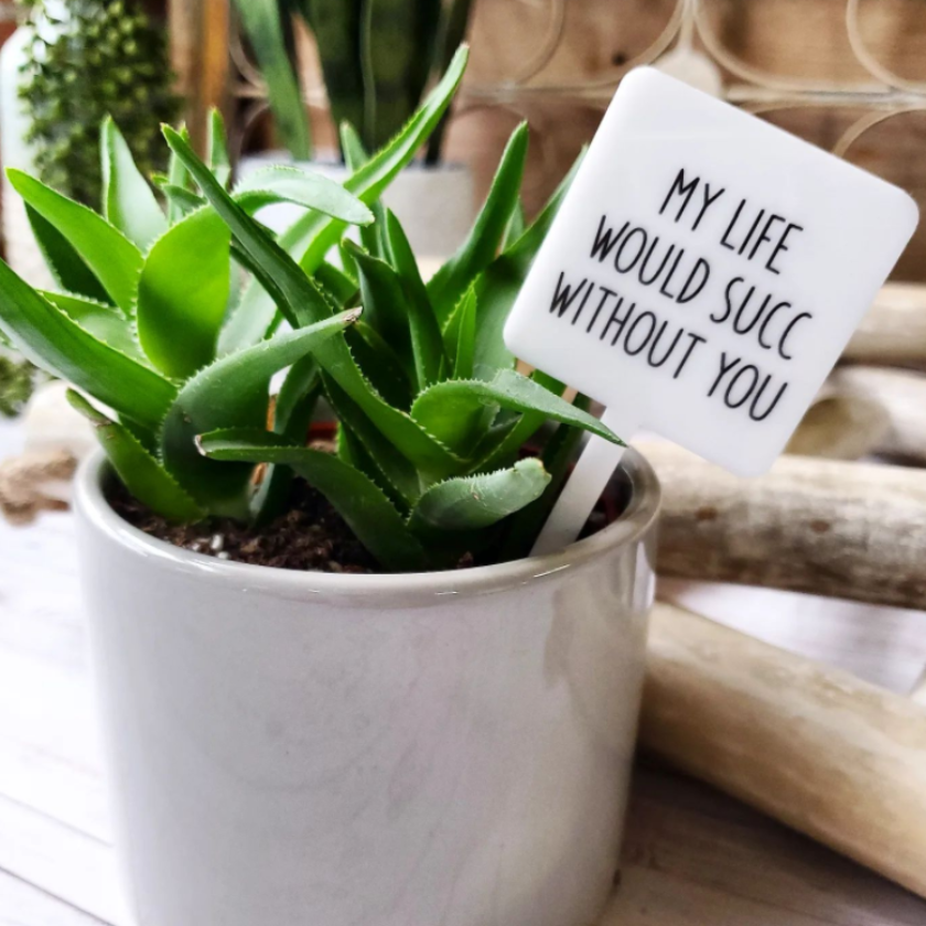 Snarky Plant Marker Stake - My Life Would Succ Without You - Mad River