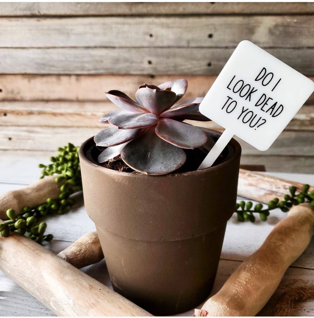 Snarky Plant Marker Stake - Do I look dead to you? - Mad River